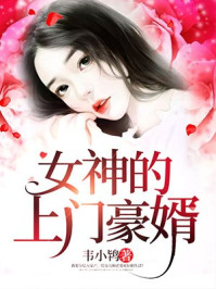 女神的上门豪婿txt下载小韦鸨