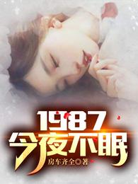 1987今夜不眠 电视