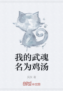 我的武魂名为鸡汤