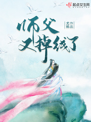 师父又掉线了好看吗