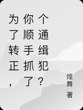 为了转正，你顺手抓了个通缉犯？