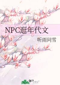 NPC逛年代文作者:听雨问雪