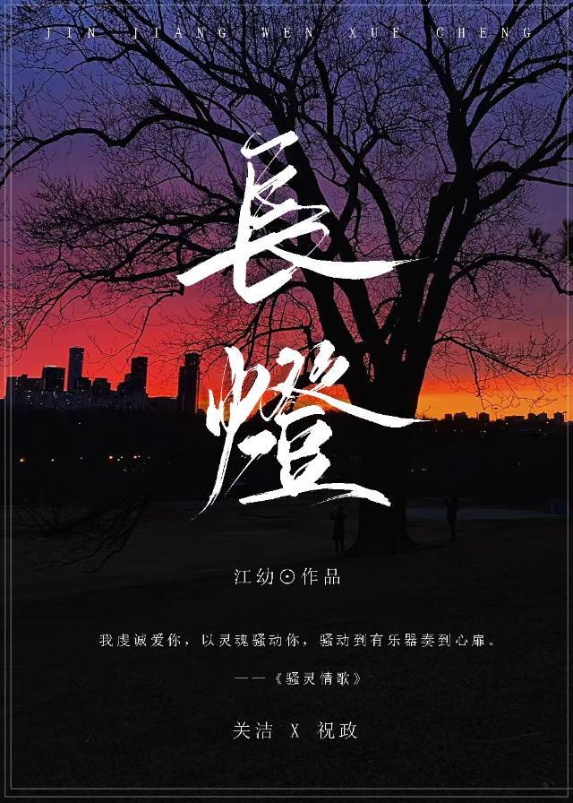 长灯一夜照无眠