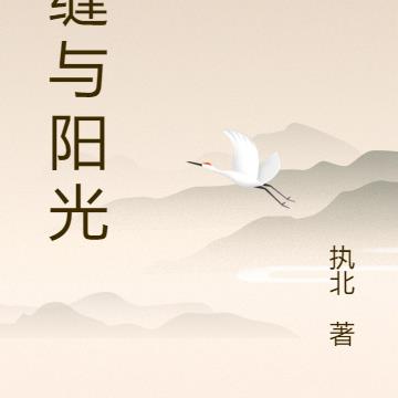 裂缝与阳光