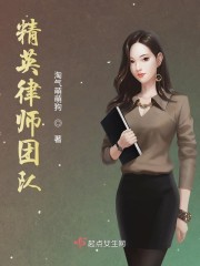 精英律师团队