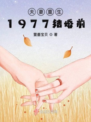 夫妻重生1977结婚前小说免费阅读