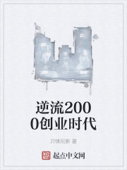 逆流2000创业时代起点