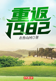 重返1982主角段云