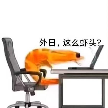 巡游之影