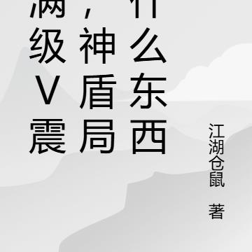 我满级V震天，神盾局是什么东西