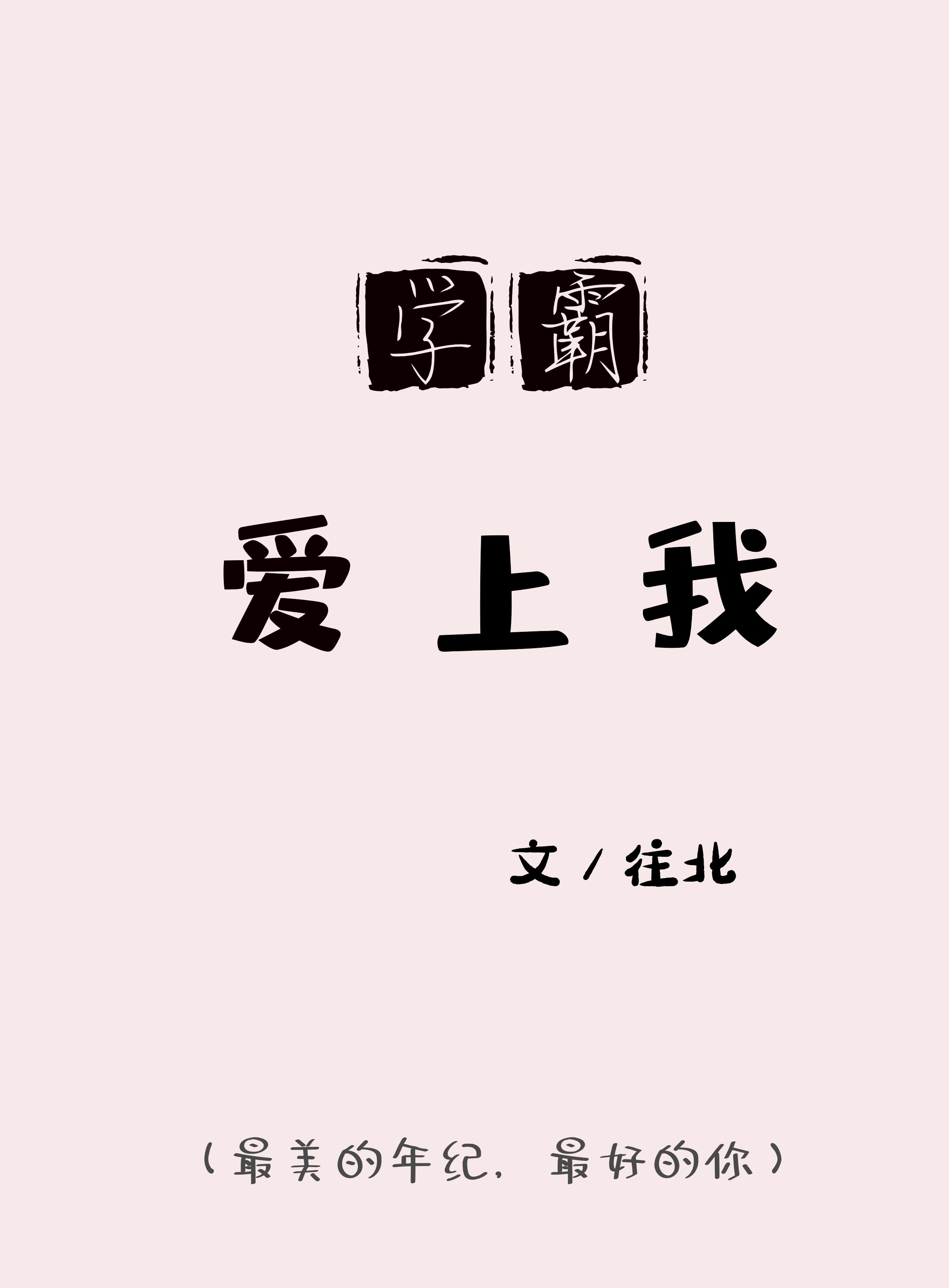 学霸爱上我小说