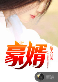 豪婿2