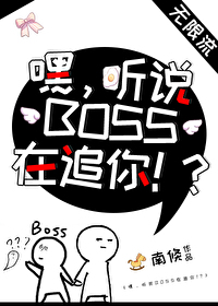 嘿听说BOSS在追你txt番外