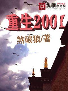 重生2001小说