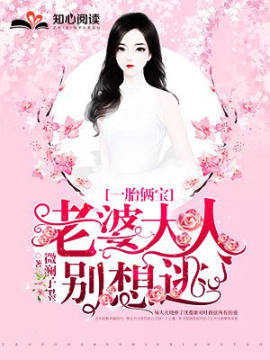 一胎俩宝老婆大人别想逃小说全文免费阅读